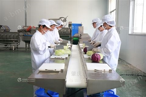 沙拉净菜生产线厂家
